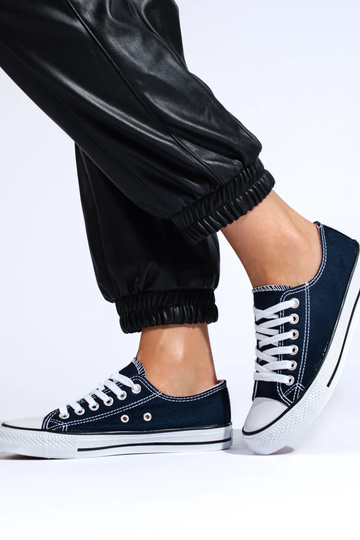 Klasický model modrých... 2