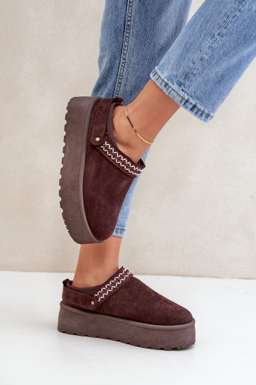 Snehule S Ornatem Haftem CzekoladoIne Selithria