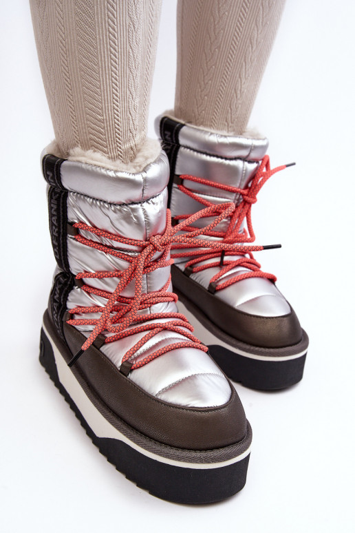 Snehule Dámske Zapnuté hrubej podrážke Vegetárian D.Franklin DFSH371006 strieborná farba Snehule Dámske Zapnuté hrubej podrážke Vegetárian D.Franklin DFSH371006 strieborná farba